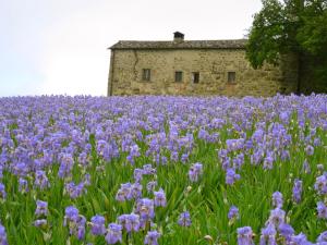 Castello di Pianettole 3 camere da letto matrimoniali