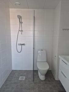 Modern Luxury Apartment Helsinki