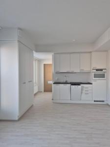 Modern Luxury Apartment Helsinki