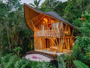 Jiva Bali - Green Dream