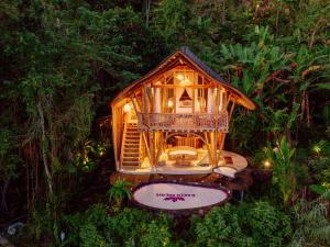 Jiva Bali - Green Dream