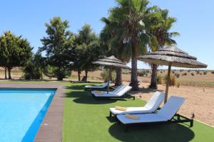 Monte da Figueira Brava