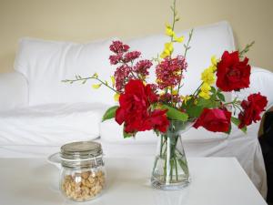 Appartements Apartment in Montbrun-les-Bains near forest : photos des chambres