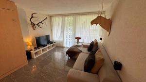 Stylish Alpine Studio in Davos, Wifi & Netflix