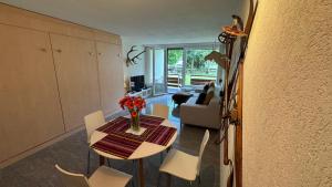 Stylish Alpine Studio in Davos, Wifi & Netflix