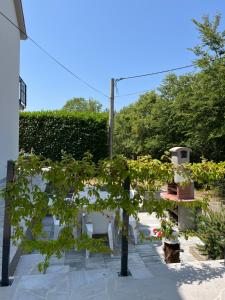 Apartmani Foresta 