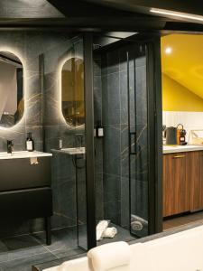Appartements Parenthese enchantee sous les toits : photos des chambres