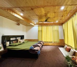 The Pine Pause-Hallan-i