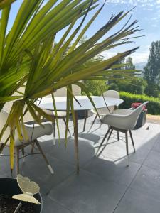 Appartements ANNECY, bel appartement tres cosy avec 2 chambres et une grande terrasse : Appartement 2 Chambres