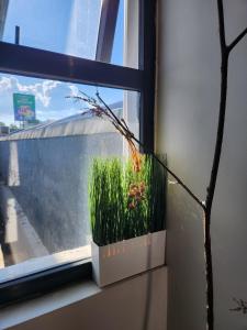 Ganada Suites Deluxe 가나다 스위트