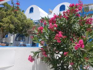 Flora Studios Perissa Santorini