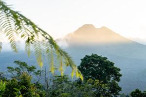 Payang Cabin Kintamani