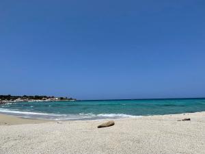 Appartements Studio climatise tout confort a 100 m de la plage : photos des chambres