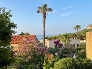 Appartements Studio climatise tout confort a 100 m de la plage : Appartement 1 Chambre