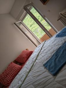 Apartments Lučijana