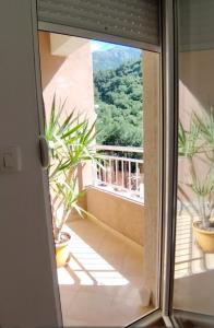 Apartments Lučijana