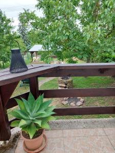 Panoráma Pelsó Apartman