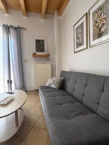Litsas Port Apartment