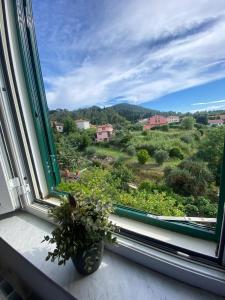 CasinaAlice Montenero