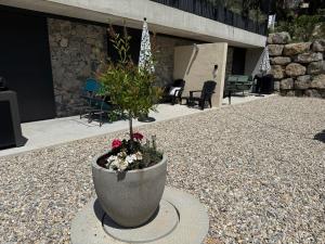 Appartements Gites Les Rochers de Plaisians : photos des chambres