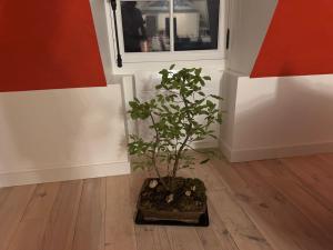 Sejours chez l'habitant Les remparts de Guerande : photos des chambres