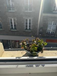 Sejours chez l'habitant Les remparts de Guerande : photos des chambres