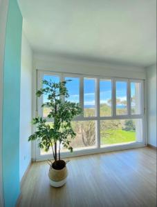 Tranquilo apartamento cerca de la playa