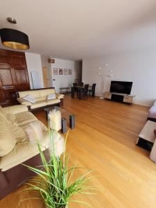 Appartements T2, balcon, centre et lac, garage, 73m2, calme chic : photos des chambres