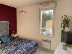 Appartements Adelice : photos des chambres