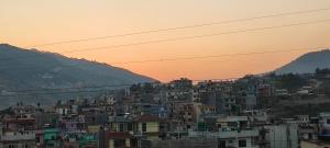 One room with two single beds with natural views