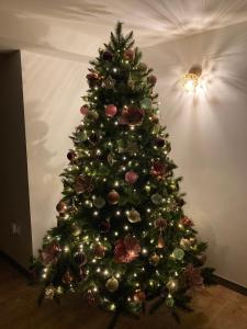 Villas A l-ombre des pins : photos des chambres