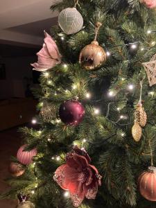 Villas A l-ombre des pins : photos des chambres