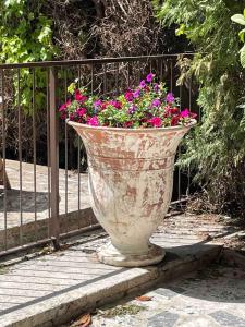 Villas A l-ombre des pins : photos des chambres