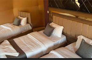 Star Wars luxury camp