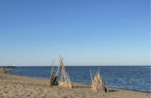 Résidence la Pinède - appartement Flores