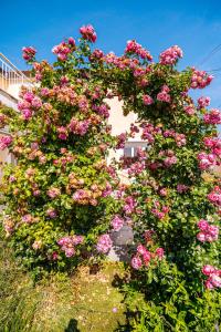 Maisons de vacances Terre de Partages : photos des chambres