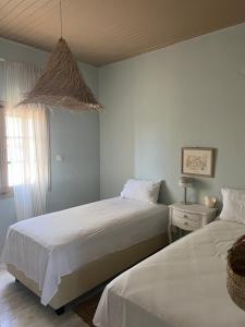 Olive House near the sea