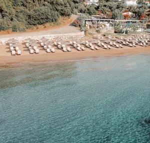 Olive House near the sea
