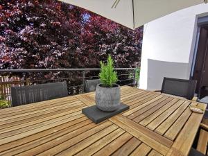 Maisons de vacances Sol i Munt Cerdanya : photos des chambres