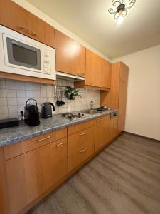 Apartment with Terrace room in Hotel Universo