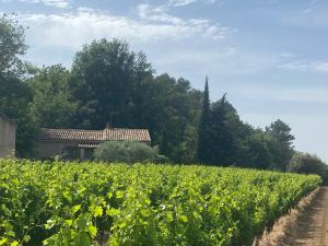 Maisons de vacances La Manaude : photos des chambres