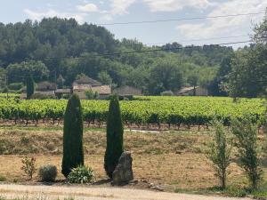 Maisons de vacances La Manaude : photos des chambres