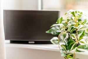 DUOMO Suite Prestige con WiFi