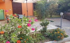 Appartamento a due passi dal mare img13