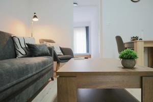 ANA house with apartments