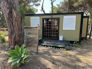 Eco-friendly beach house