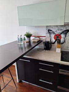Apartament Karolewska Łódź