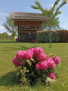 Maisons de vacances Gite / chalet meuble pour 2 personnes le 1780 : photos des chambres