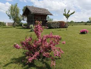 Maisons de vacances Gite / chalet meuble pour 2 personnes le 1780 : photos des chambres