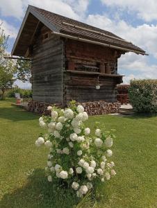 Maisons de vacances Gite / chalet meuble pour 2 personnes le 1780 : photos des chambres